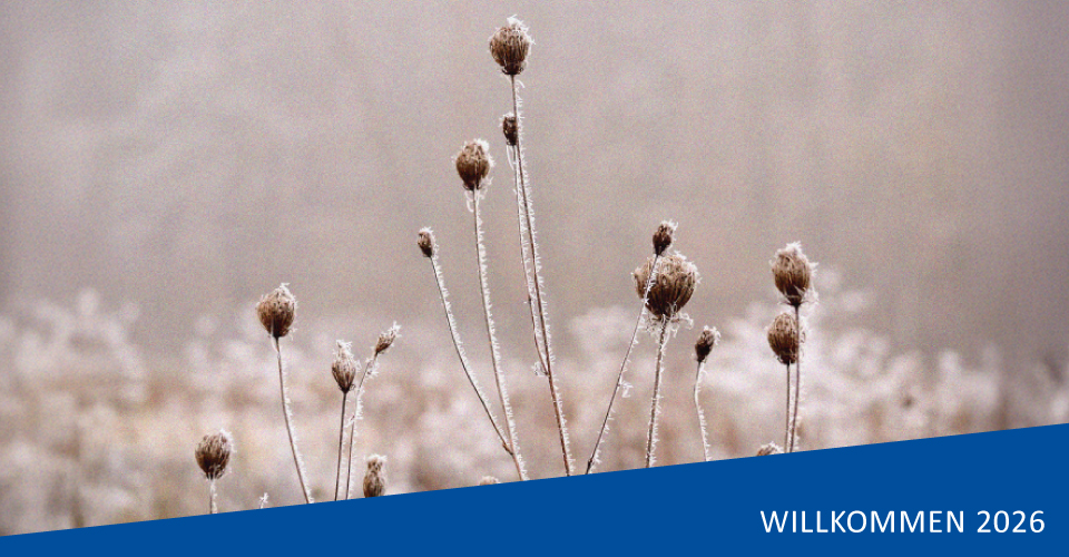 full-service-messebau-messestart-2026